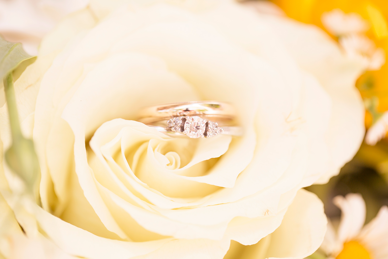 Summer Wedding at The Virginia Cliffe Inn - Image Property of www.j-dphoto.com