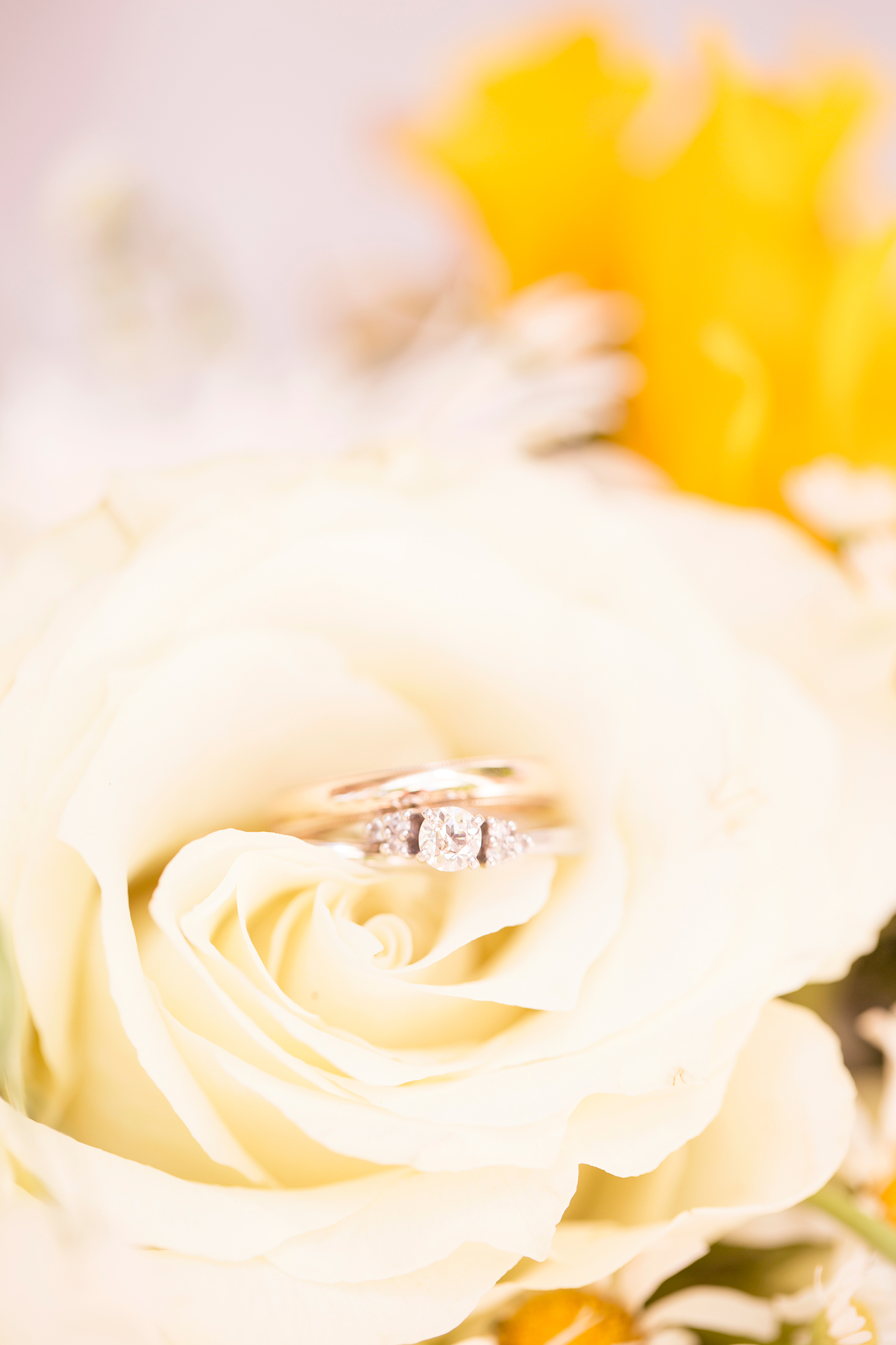 Summer Wedding at The Virginia Cliffe Inn - Image Property of www.j-dphoto.com