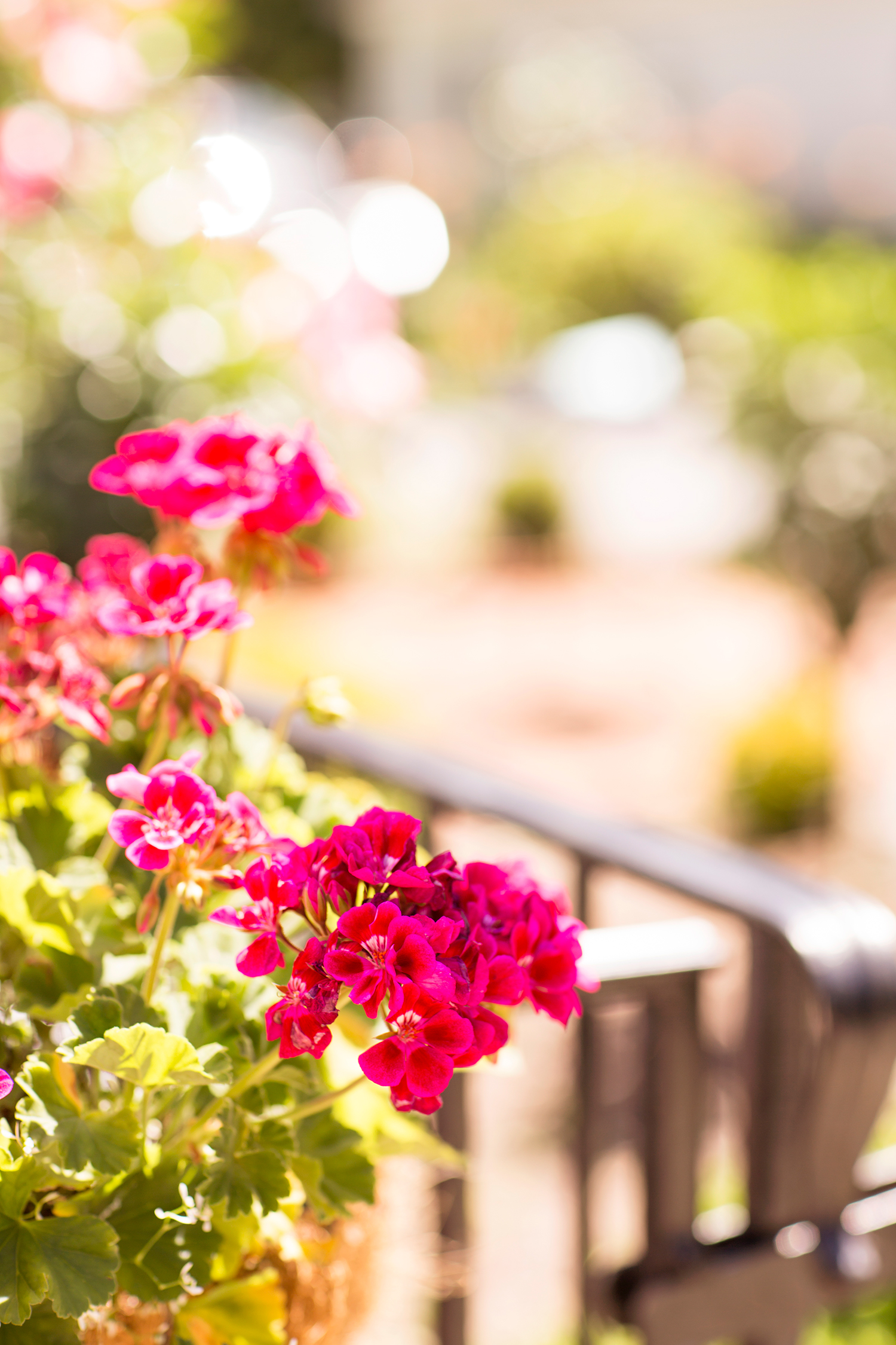 Summer Wedding at The Virginia Cliffe Inn - Image Property of www.j-dphoto.com