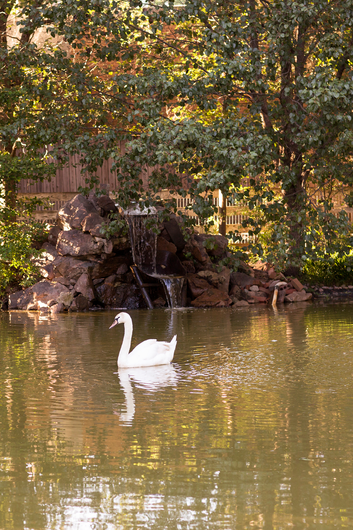 Summer Wedding at The Virginia Cliffe Inn - Image Property of www.j-dphoto.com
