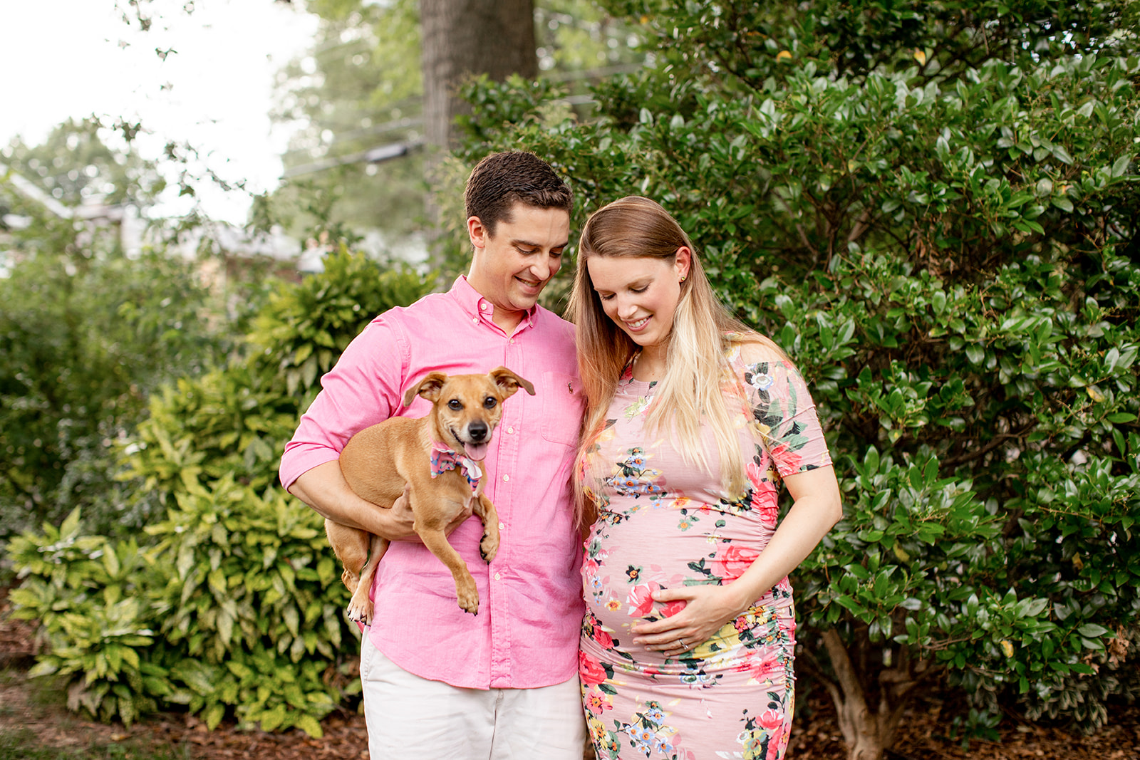 At Home Maternity Photos With a Dog Richmond Va - Image Property of www.j-dphoto.com