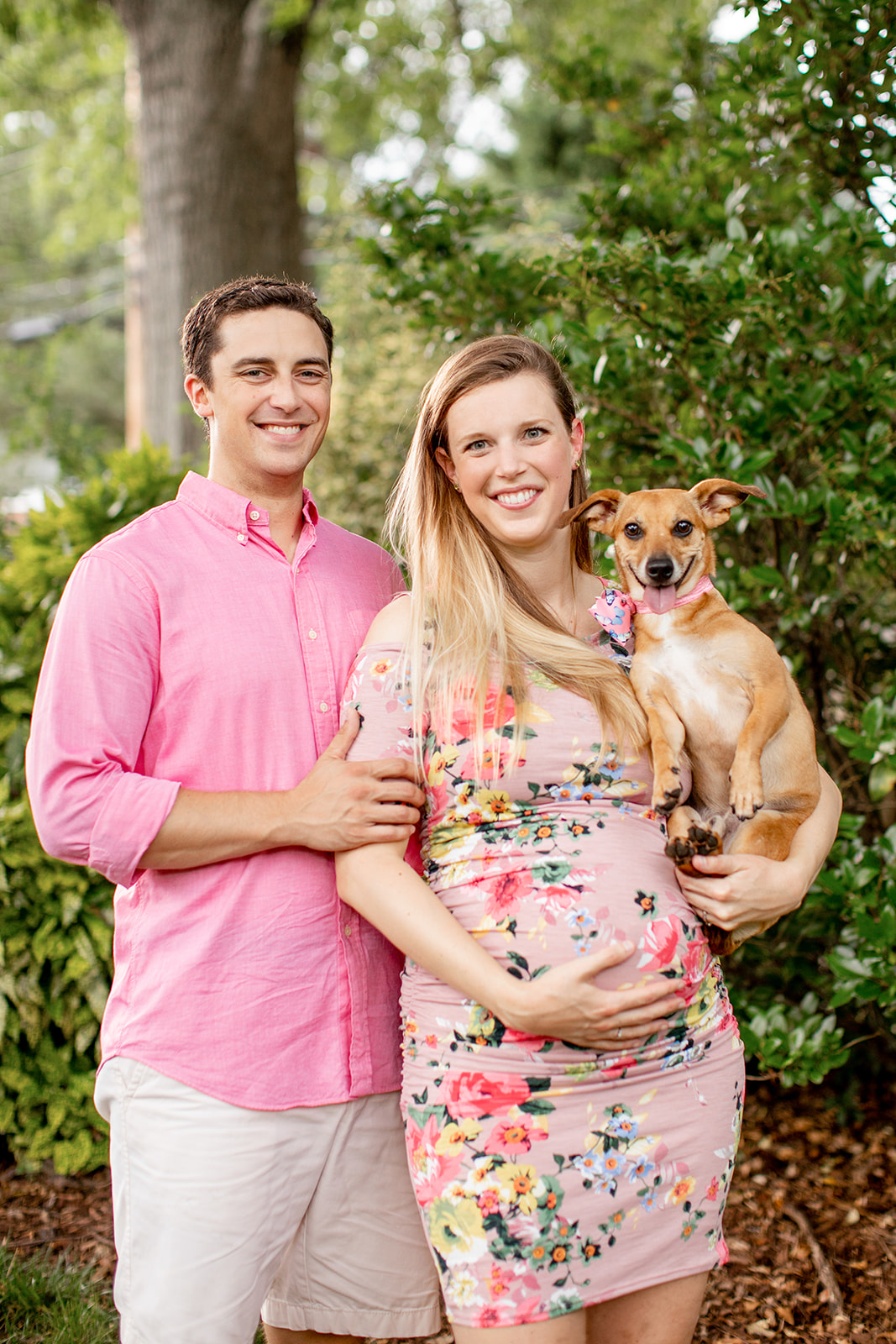 At Home Maternity Photos With a Dog Richmond Va - Image Property of www.j-dphoto.com