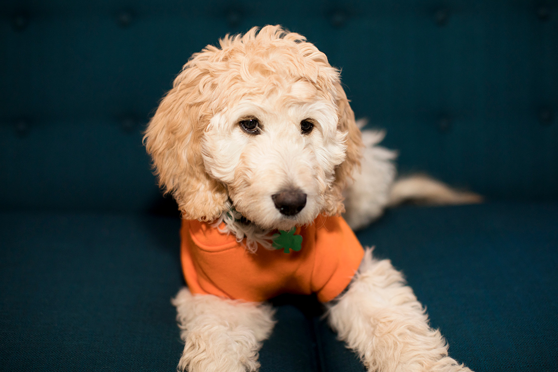 2017 Halloween at JD Photo - Image Property of www.j-dphoto.com