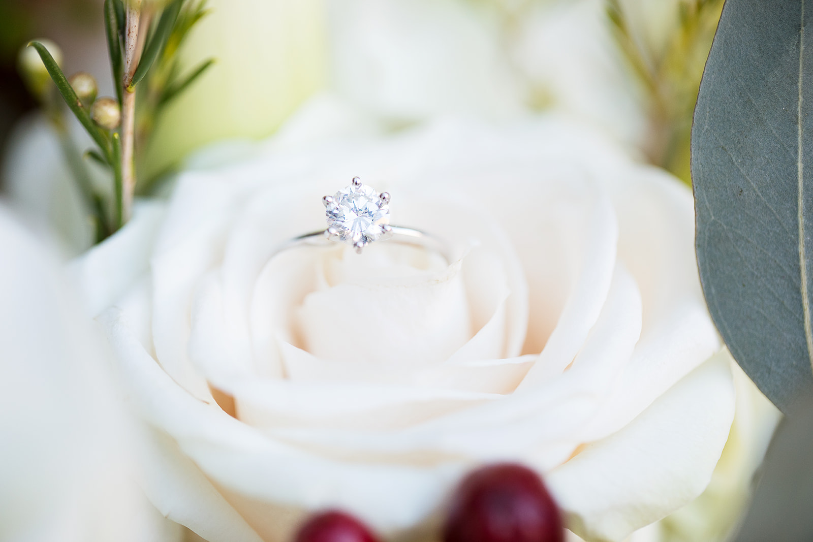 Holly  Elliotts Holiday Wedding at The Jefferson Hotel - Image Property of www.j-dphoto.com