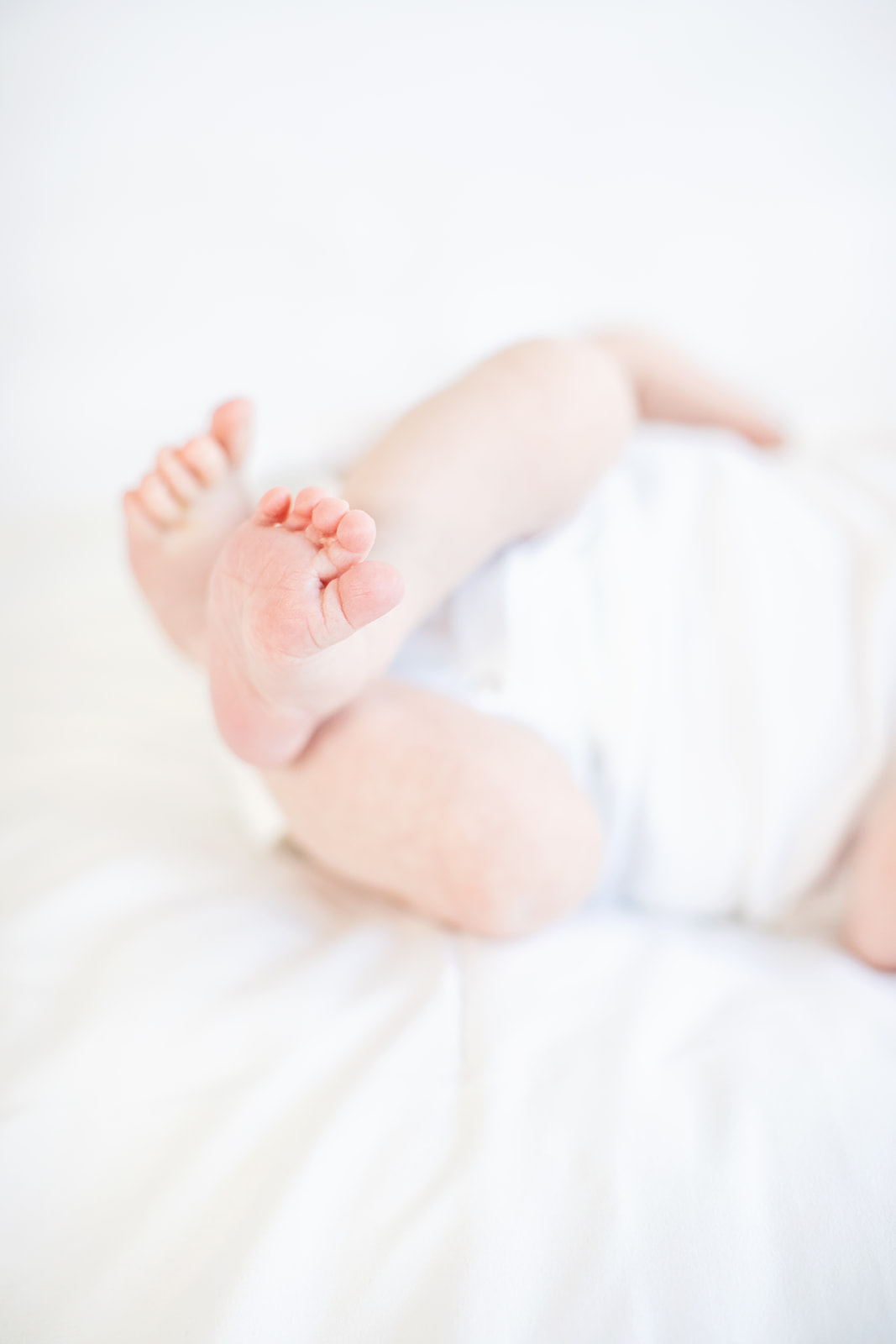 Modern Studio Newborn Photos - Image Property of www.j-dphoto.com