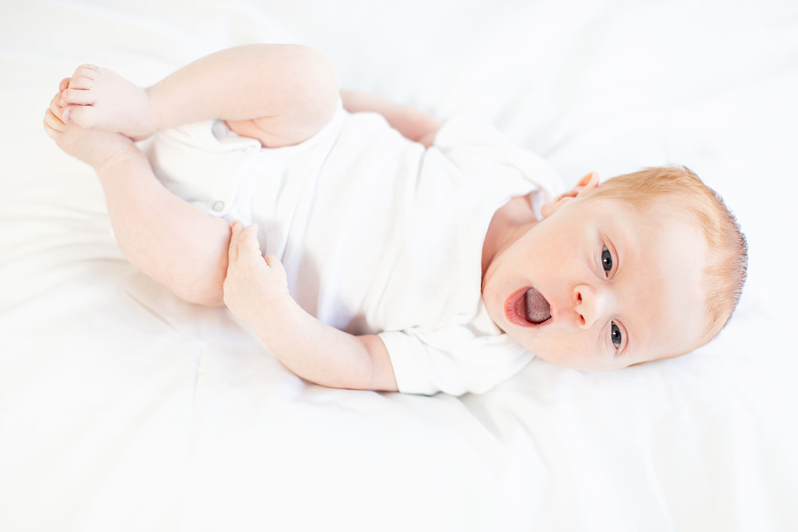 Modern Studio Newborn Photos - Image Property of www.j-dphoto.com