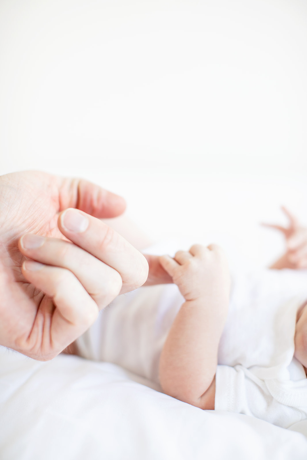 Modern Studio Newborn Photos - Image Property of www.j-dphoto.com