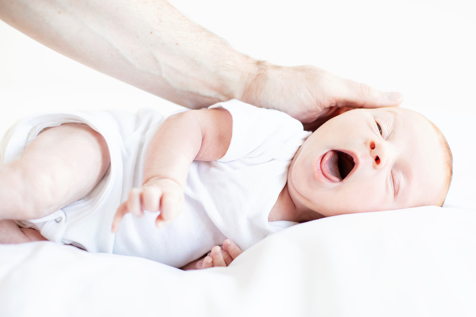 Modern Studio Newborn Photos - Image Property of www.j-dphoto.com